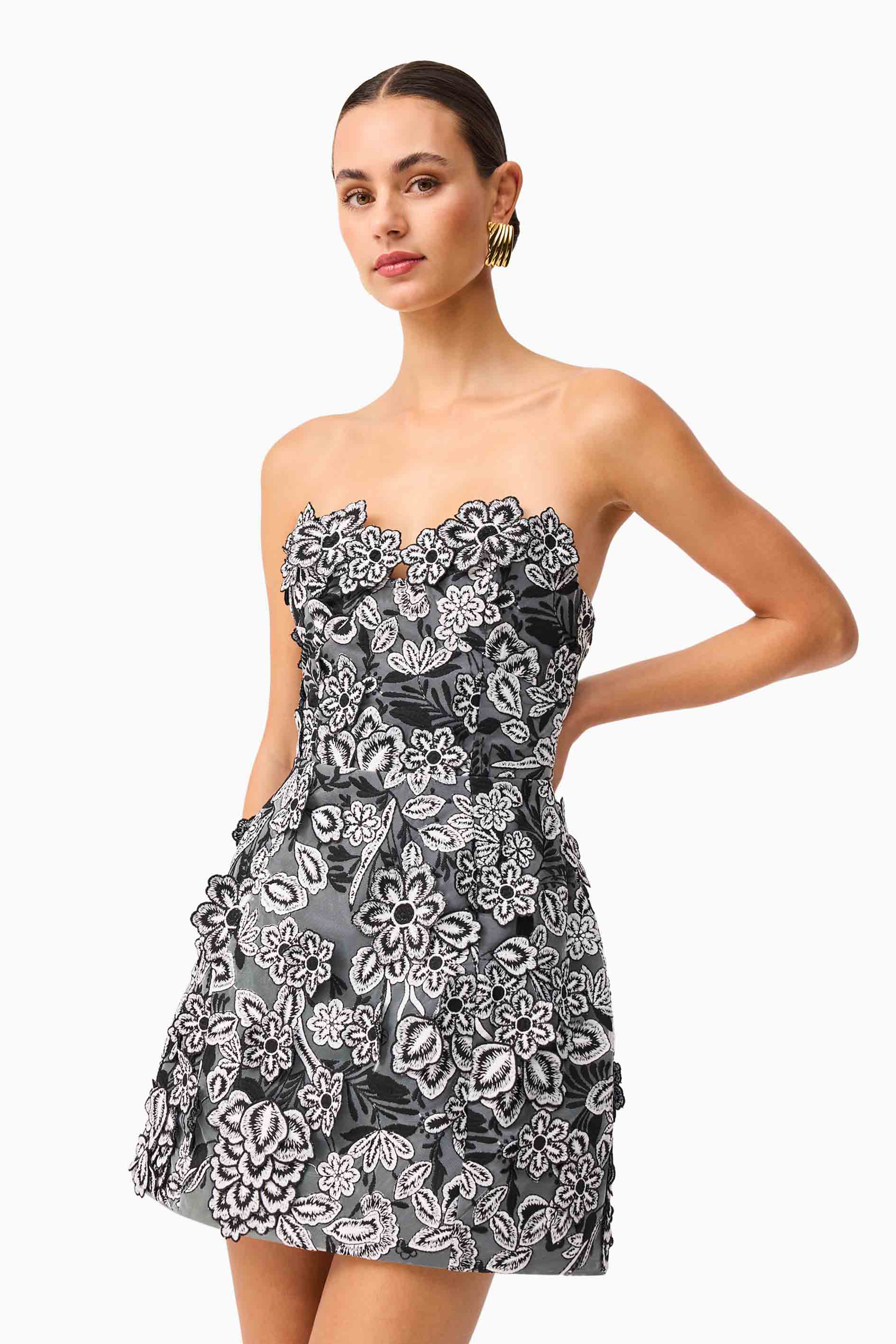 Roseate Floral Mini Dress in Black